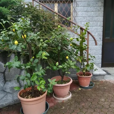 Ollasio18 Apartment Giaveno