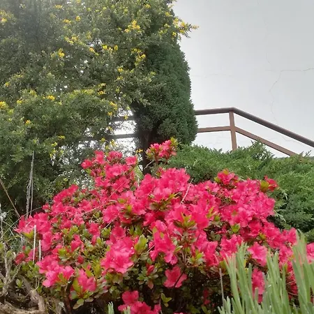 Ollasio18 Giaveno