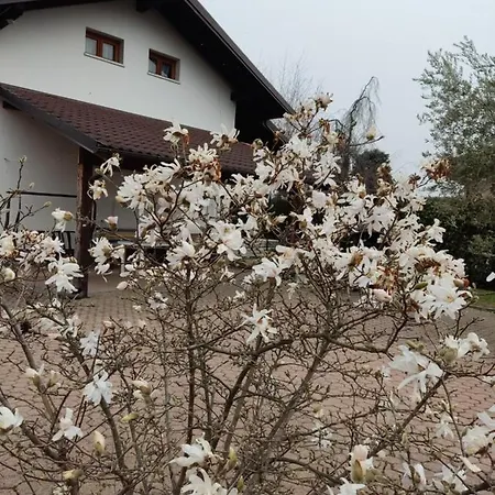Apartman Ollasio18 Giaveno