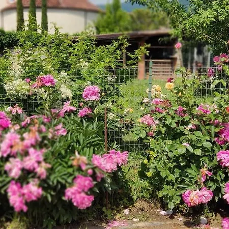 Ollasio18 Apartman